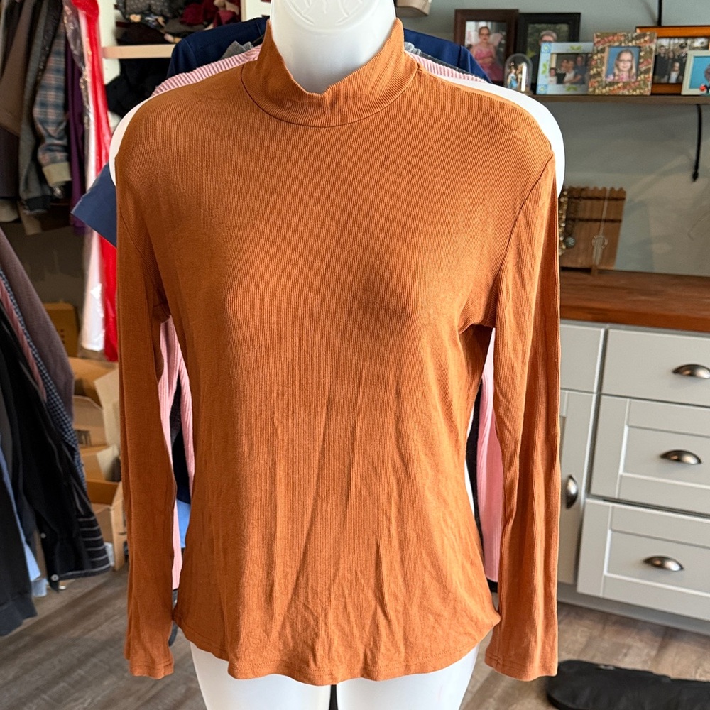 Elegant Long Sleeve Rust Top